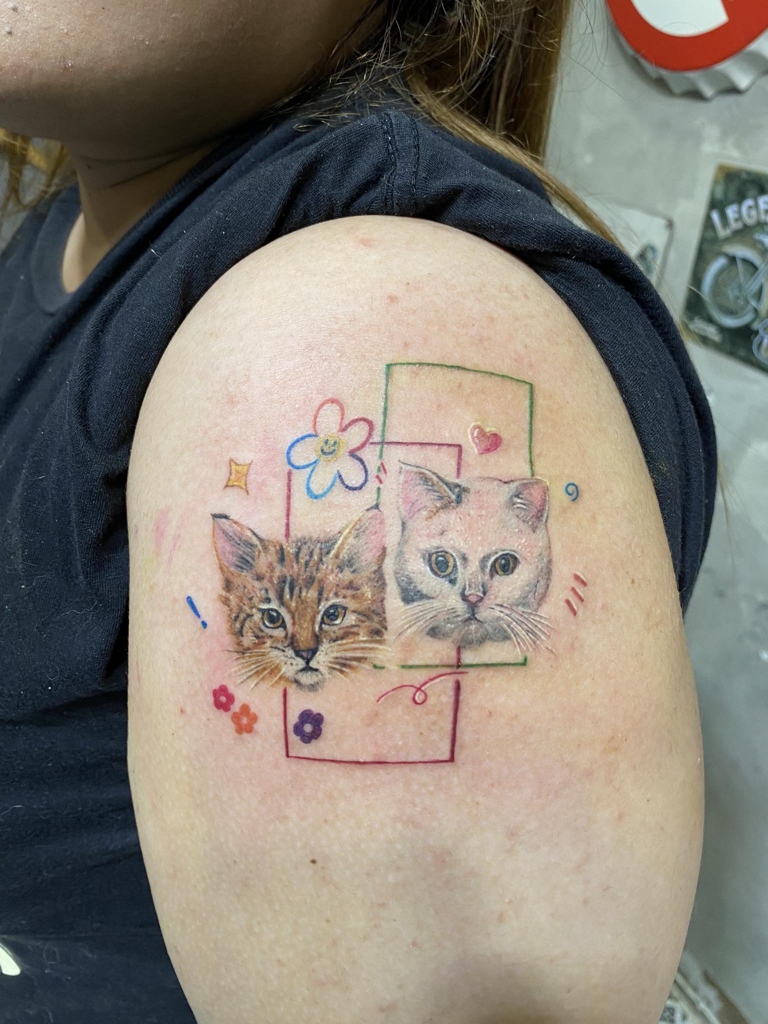 Cats, Color, shoulder Tattoo in Pattaya. We are known for Japanese, Chicano, Realistic, New School, Old School, Neo Thai, Blackwork, and Bamboo Tattooing. Cats, Color, shoulder Tattoo, Lethal Ink, Pattaya, 2024