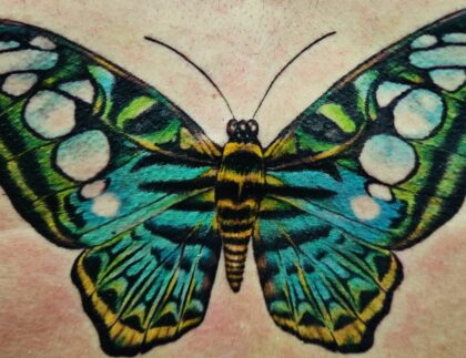 01 Color, realistic, butterfly, chest tattoo, Lethal Ink Tattoo, Phra Tamnak, Pattaya, 2025 (1)