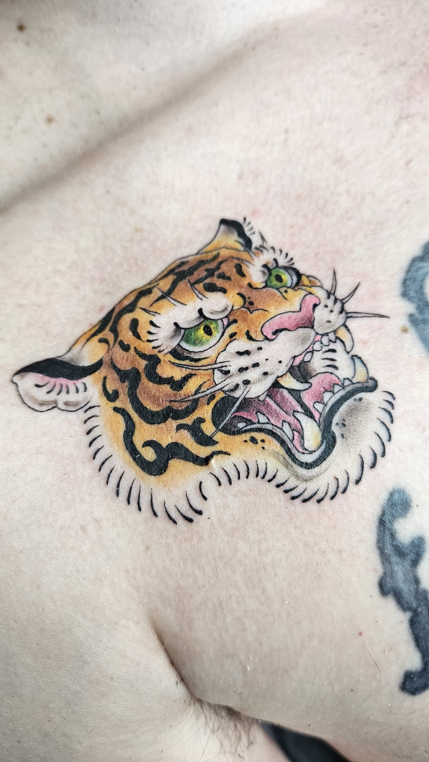 Tiger head, color, animated, flash tattoo, chest tattoo, Lethal Ink Tattoo, Phra Tamnak, Pattaya, 2025 Tiger head, color, animated, flash tattoo, chest tattoo, Lethal Ink Tattoo, Phra Tamnak, Pattaya, 2025