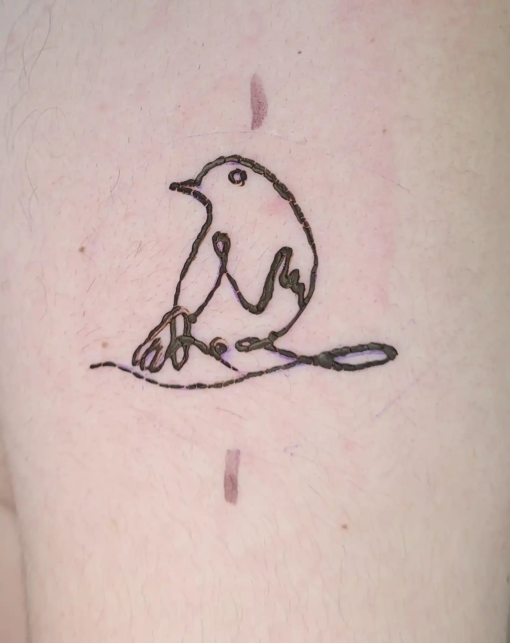 Navel belly button single ring piercing with surgical steel on navel by Lethal Ink Tattoo, Pattaya (2026)