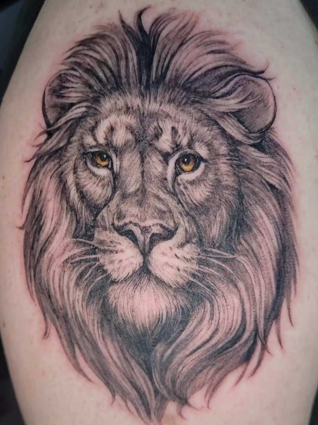 Color and black grey realistic lion tattoo by Sandy, tattoo artist at Lethal Ink Tattoo, Pattaya (2025)