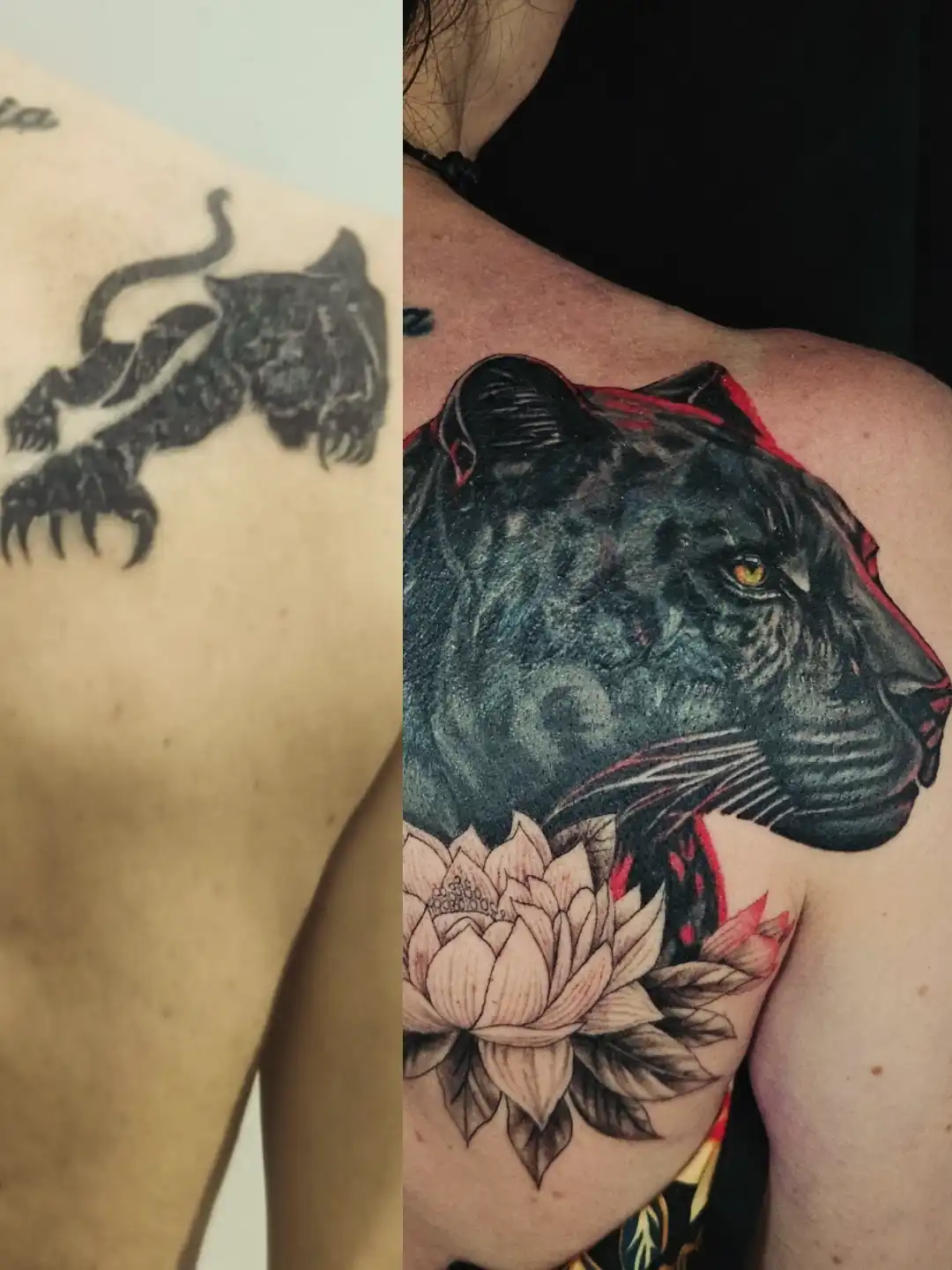 Realism Panther Before After Cover tattoo on back by Sandy, tattoo artist at Lethal Ink Tattoo, Pattaya (2025)