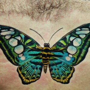 Color, realistic, butterfly, chest tattoo, Lethal Ink Tattoo, Phra Tamnak, Pattaya, 2025 Color, realistic, butterfly, chest tattoo, Lethal Ink Tattoo, Phra Tamnak, Pattaya, 2025
