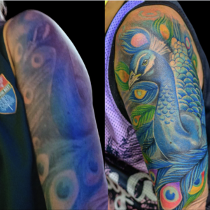 Tattoo repair, Peacock, color, arm tattoo, Lethal Ink Tattoo, Phra Tamnak, Pattaya, 2025 Tattoo repair, Peacock, color, arm tattoo, Lethal Ink Tattoo, Phra Tamnak, Pattaya, 2025