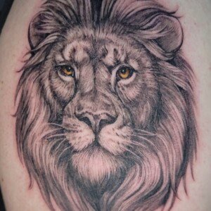 Color and black grey lion tattoo by Sandy at Lethal Ink Tattoo, Pattaya. Sandy specializes in Realism, Illustrative, Color, Black & Grey, and Portrait styles. Color and black grey realistic lion tattoo by Sandy, tattoo artist at Lethal Ink Tattoo, Pattaya (2025)